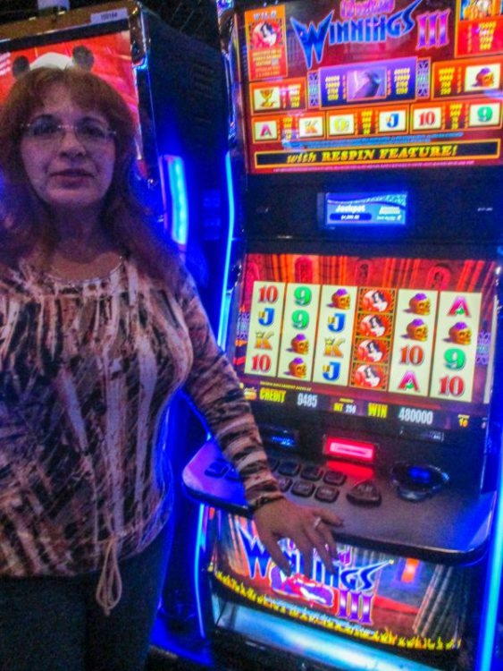 $555 טורנירי קזינו פרירול בקזינו Royal Panda